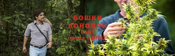 ALPHA PVP Бородино
