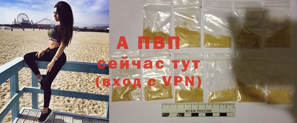 СК Бронницы