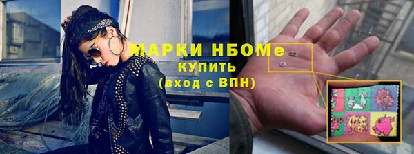 СК Бронницы