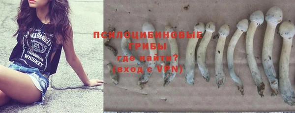 СК Бронницы