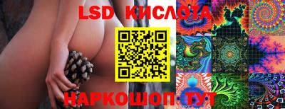меф Камышлов