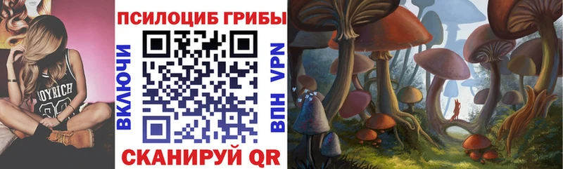 Псилоцибиновые грибы мицелий Северобайкальск