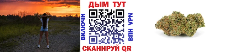 Канабис OG Kush Северобайкальск